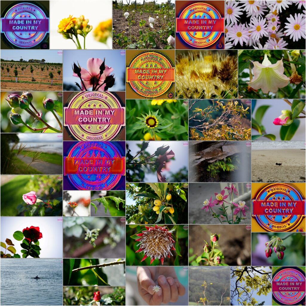 MadeinMycountry is a global platform that celebrates and supports local history, culture, art, and nature conservation efforts. For two decades, we have been sponsoring local museums, cultural organizations, travel destinations, historical sites and various cultural events around the world.