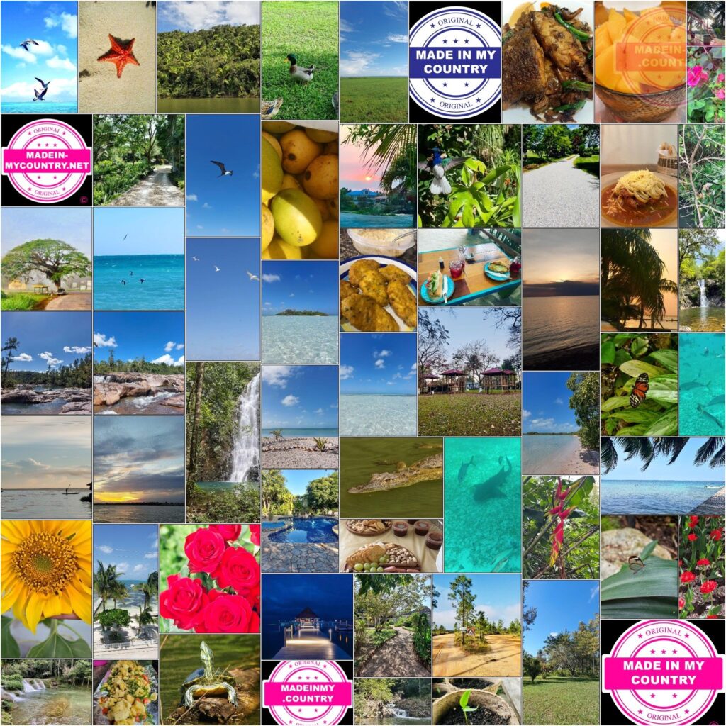 MadeinMycountry Miami (LAT):  MadeinMycountry es una plataforma global que celebra y apoya la historia local, la cultura, el arte y los esfuerzos de conservación de la naturaleza. Durante dos décadas, hemos patrocinado museos locales, organizaciones culturales, destinos turísticos, sitios históricos y diversos eventos culturales en todo el mundo.
